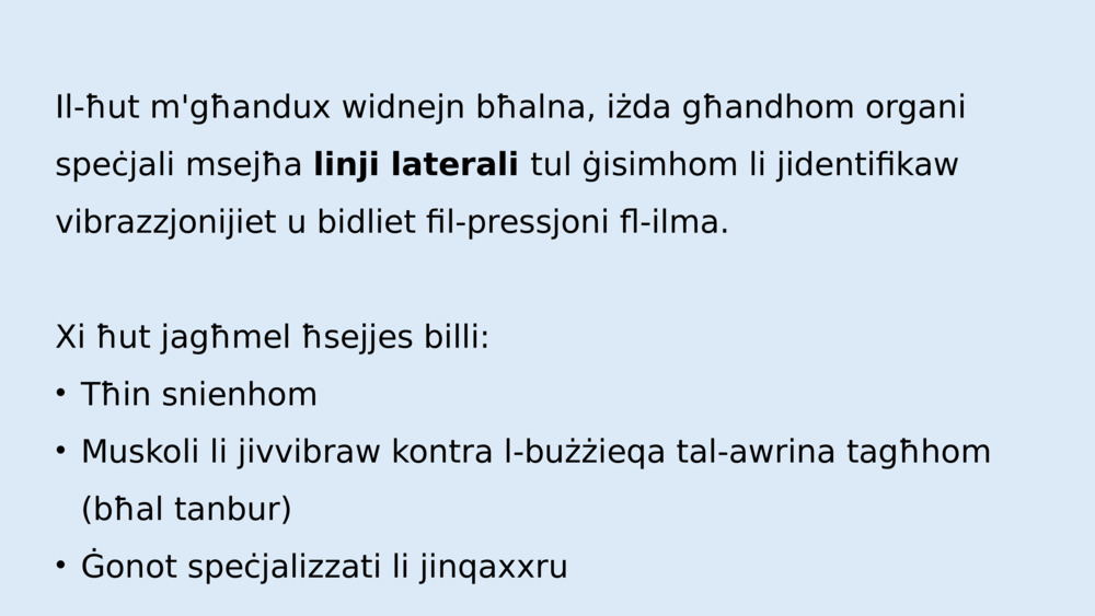 Il-ħut m'għandux widnejn bħalna, iżda għandhom organi speċjali msejħa 