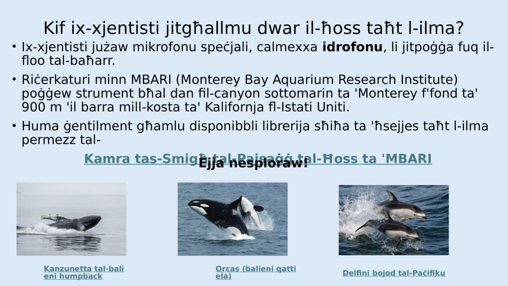 Kif ix-xjentisti jitgħallmu dwar il-ħoss taħt l-ilma?