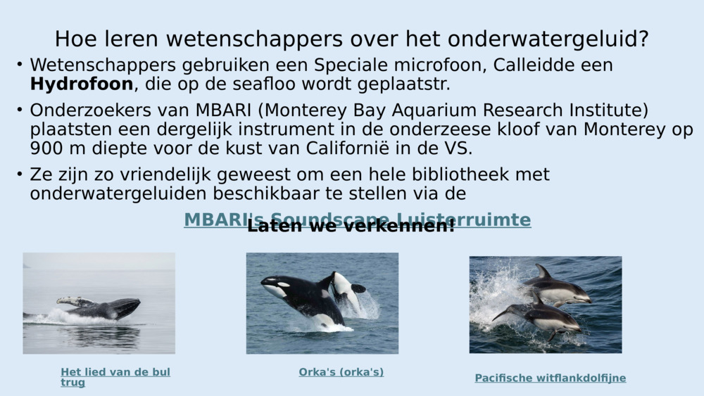 Hoe leren wetenschappers over het onderwatergeluid?