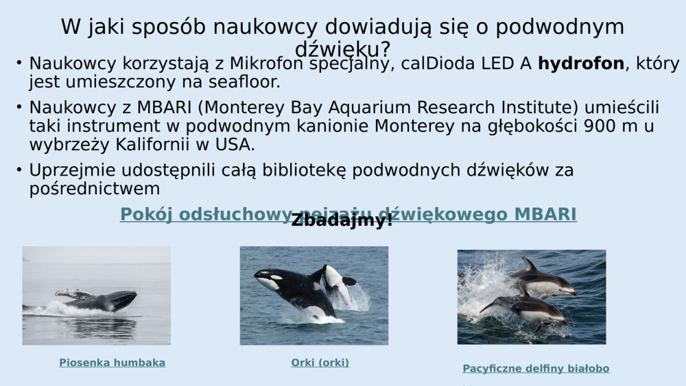 W jaki sposób naukowcy dowiadują się o podwodnym dźwięku?
