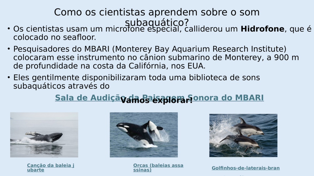 Como os cientistas aprendem sobre o som subaquático?