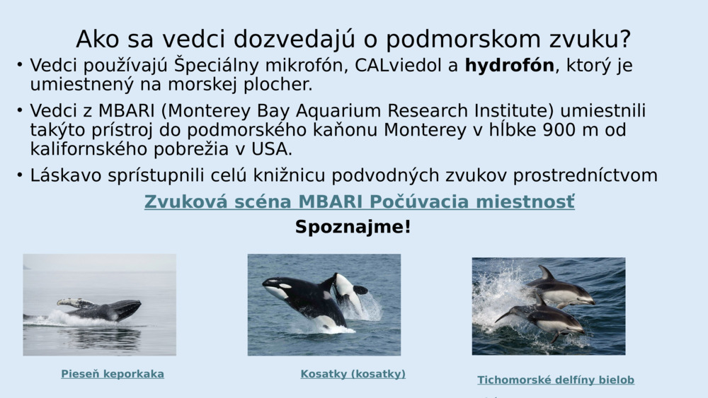 Ako sa vedci dozvedajú o podmorskom zvuku?