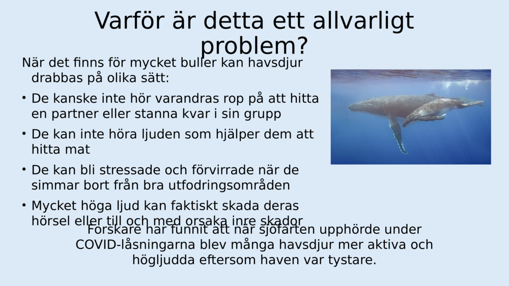 Varför är detta ett allvarligt problem?