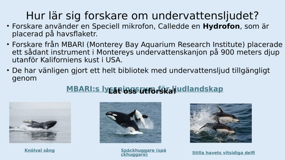 Hur lär sig forskare om undervattensljudet?