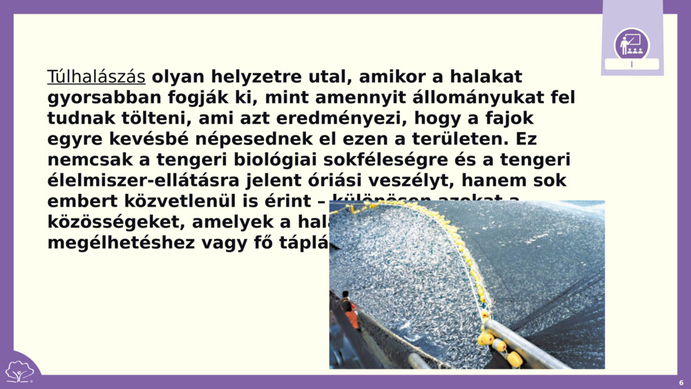 Túlhalászás