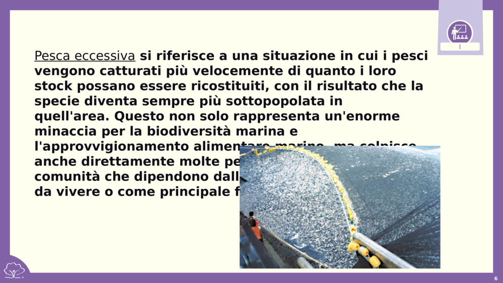 Pesca eccessiva