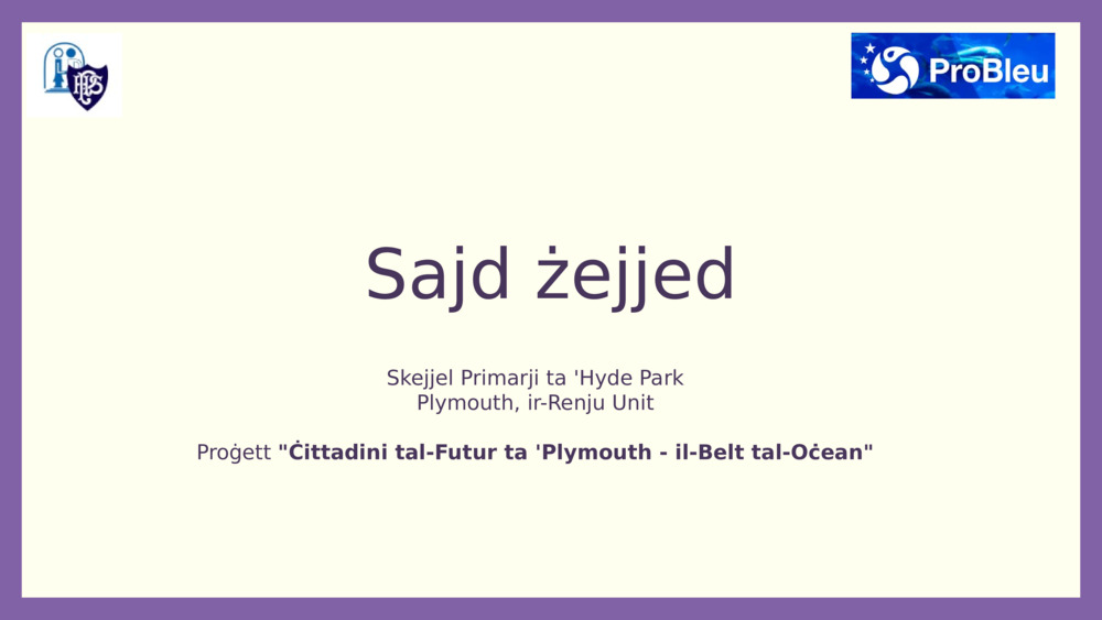 Sajd żejjed