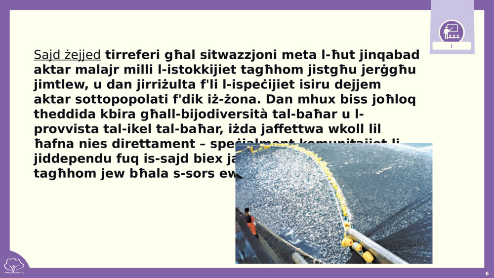 Sajd żejjed