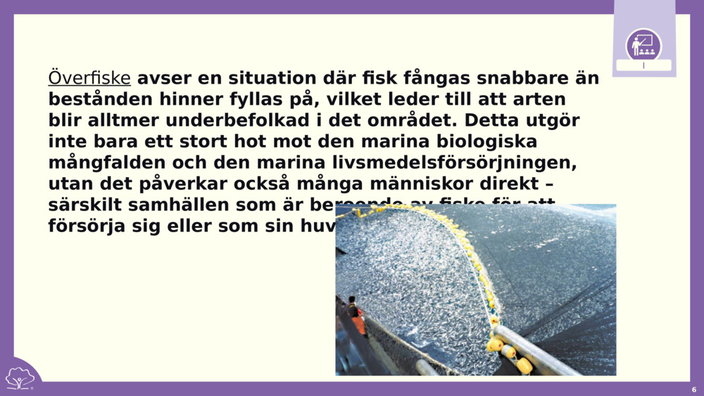 Överfiske