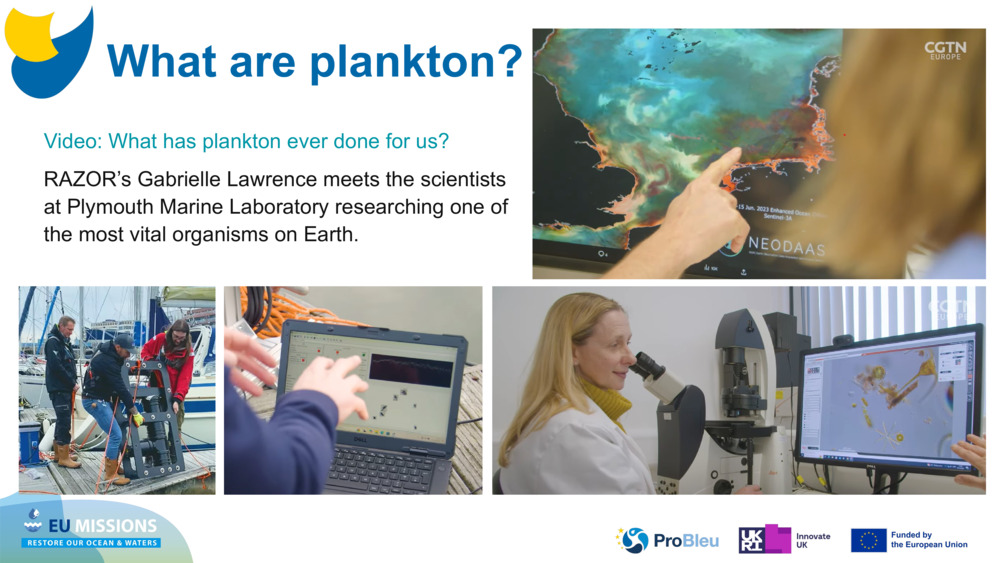 Video: What has plankton ever done for us?
