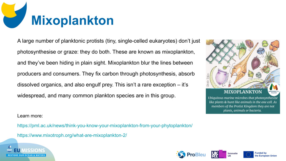 Mixoplankton