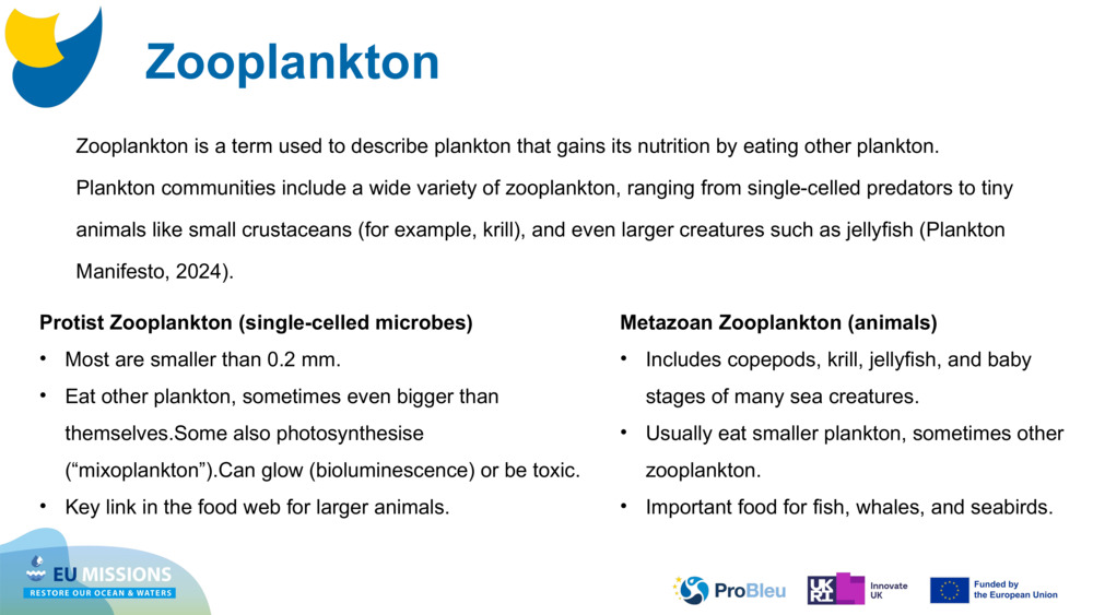 Zooplankton