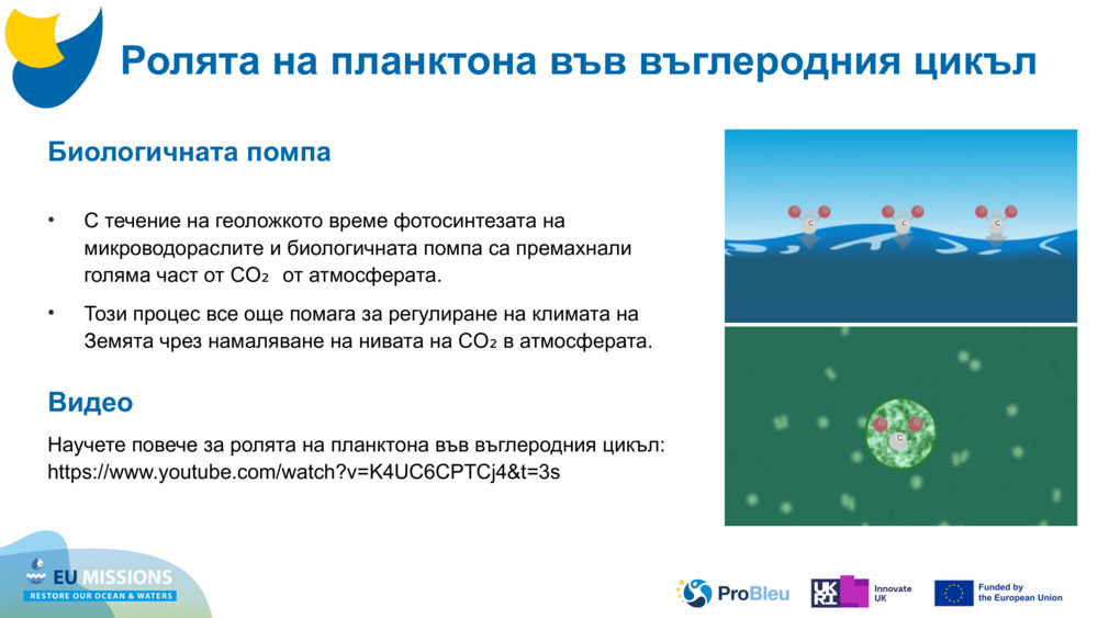 Биологичната помпа