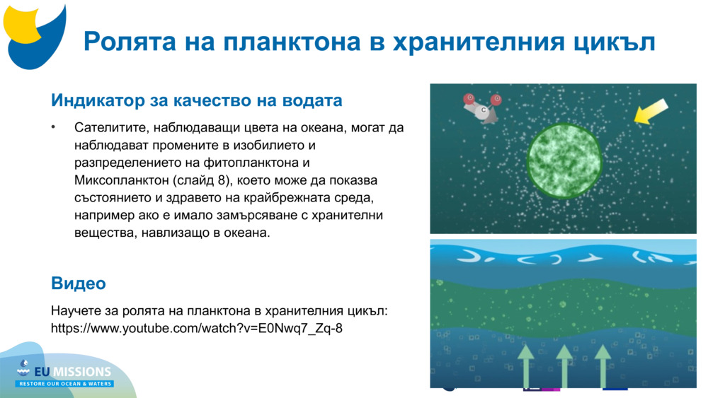 Индикатор за качество на водата