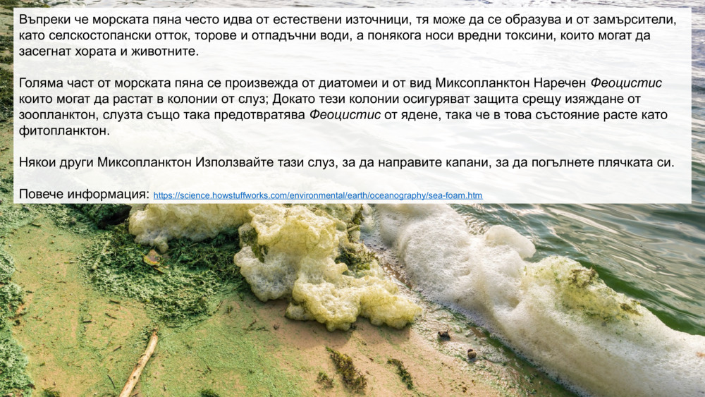 Въпреки че морската пяна често идва от естествени източници, тя може да се образува и от замърсители, като селскостопански отток, торове и отпадъчни води, а понякога носи вредни токсини, които могат да засегнат хората и животните.