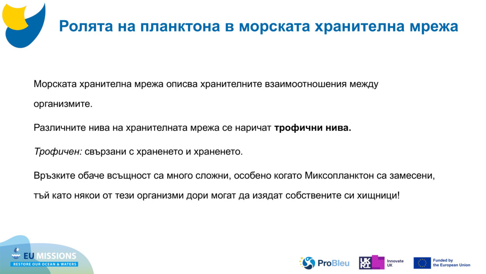 Морската хранителна мрежа описва хранителните взаимоотношения между организмите. 