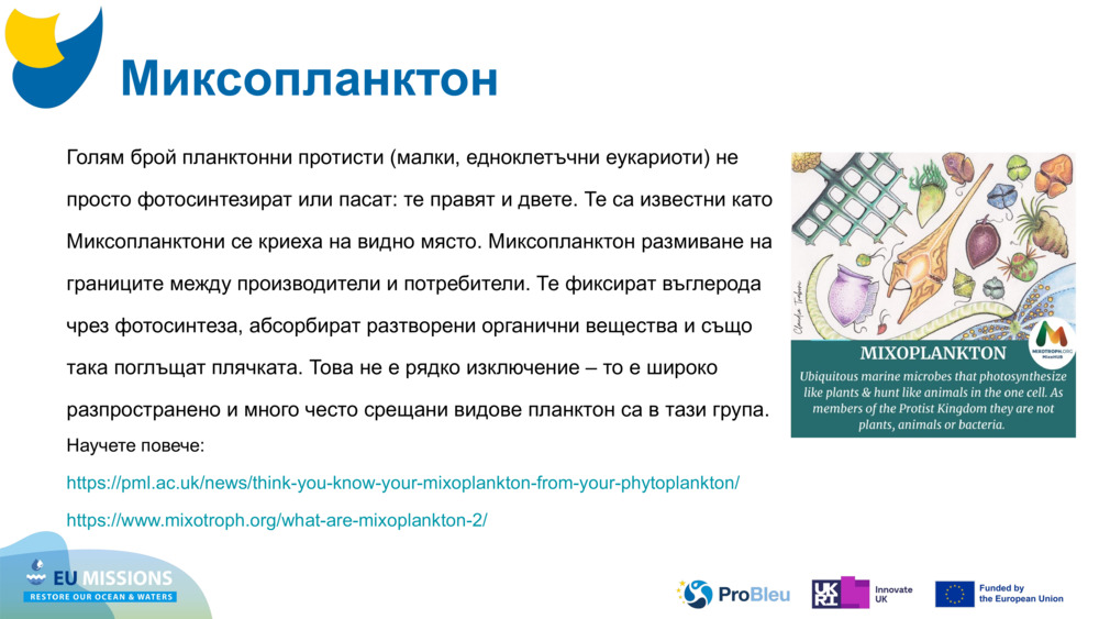 Миксопланктон