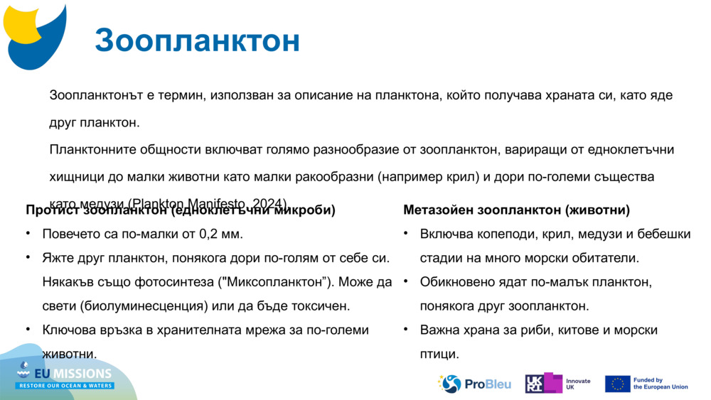 Зоопланктон