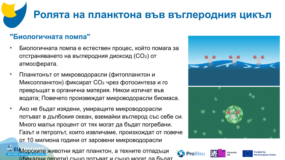 "Биологичната помпа"