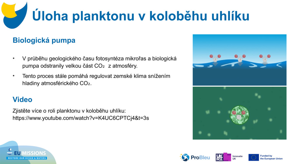 Biologická pumpa