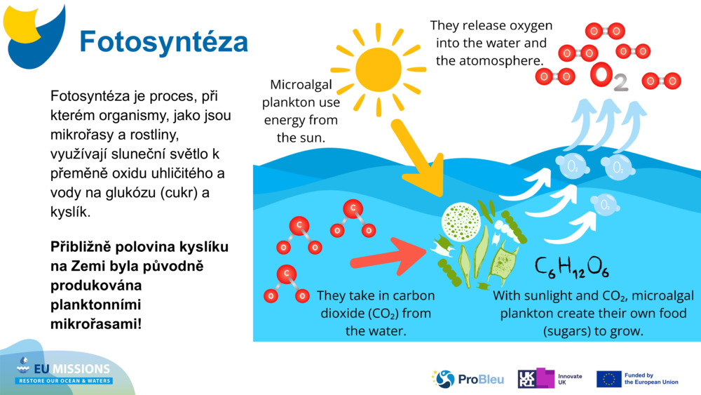 Fotosyntéza je proces, při kterém organismy, jako jsou mikrořasy a rostliny, využívají sluneční světlo k přeměně oxidu uhličitého a vody na glukózu (cukr) a kyslík. 