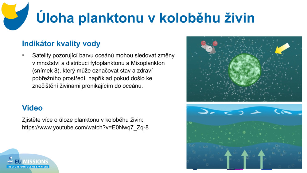 Indikátor kvality vody