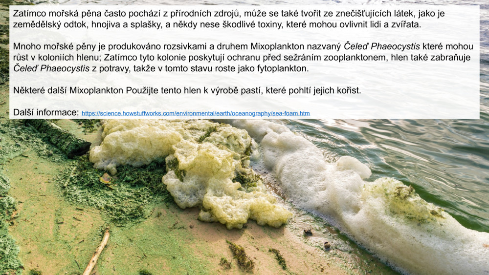 Zatímco mořská pěna často pochází z přírodních zdrojů, může se také tvořit ze znečišťujících látek, jako je zemědělský odtok, hnojiva a splašky, a někdy nese škodlivé toxiny, které mohou ovlivnit lidi a zvířata.