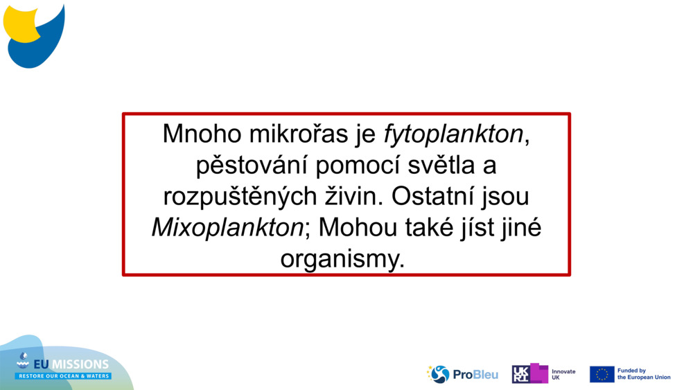 Mnoho mikrořas je 