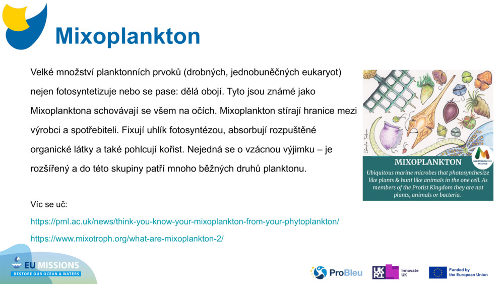 Mixoplankton