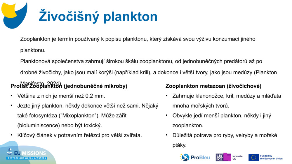 Živočišný plankton