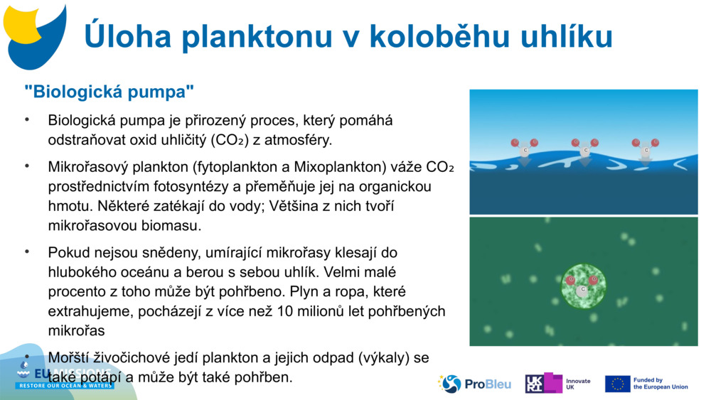 "Biologická pumpa"
