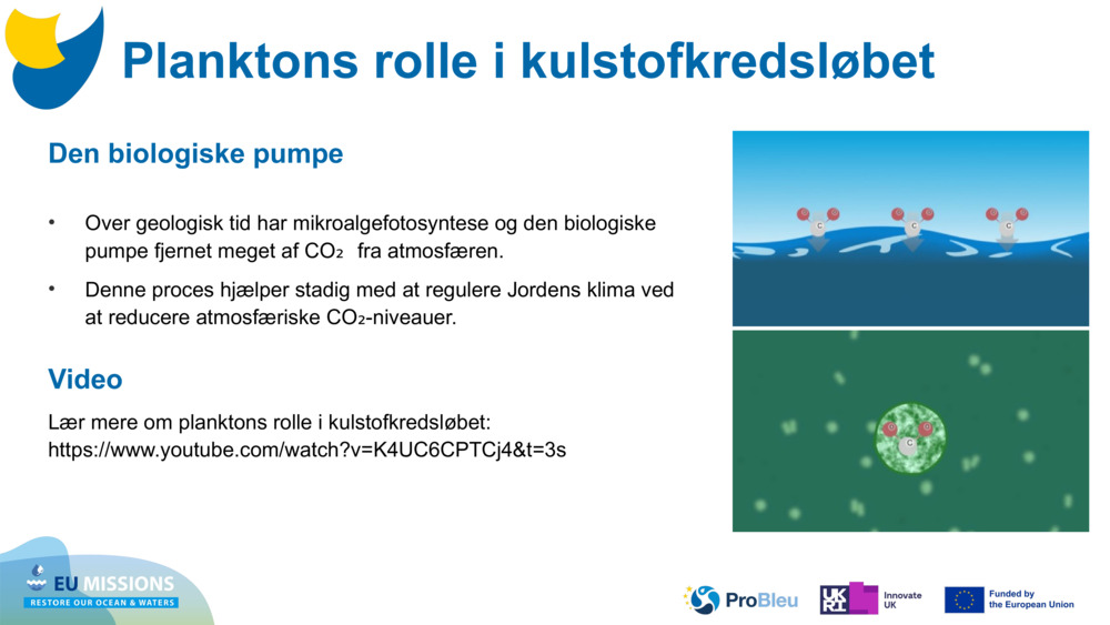 Den biologiske pumpe