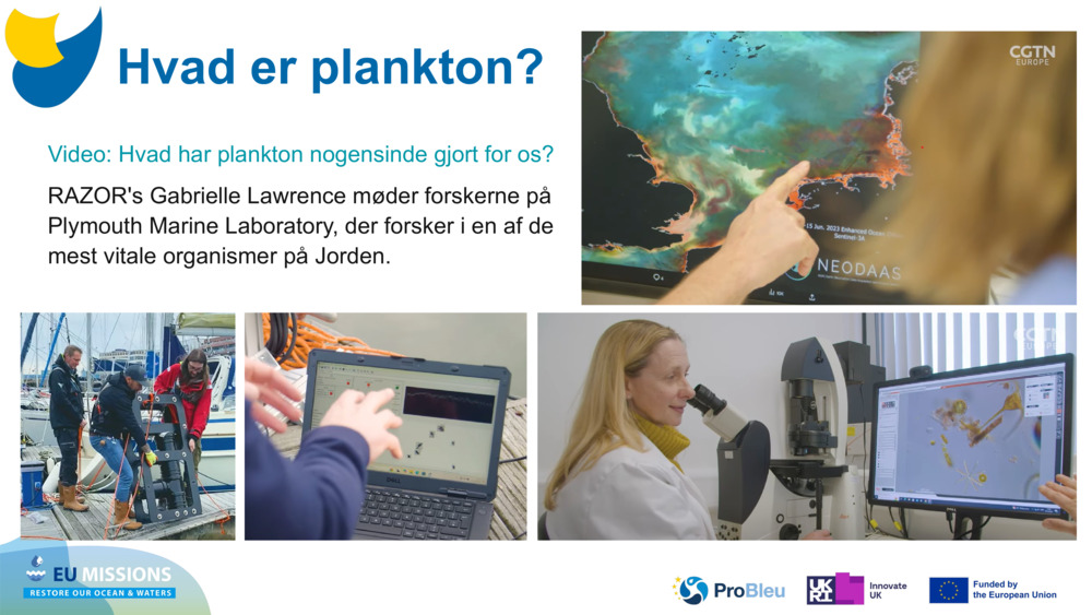 Video: Hvad har plankton nogensinde gjort for os?