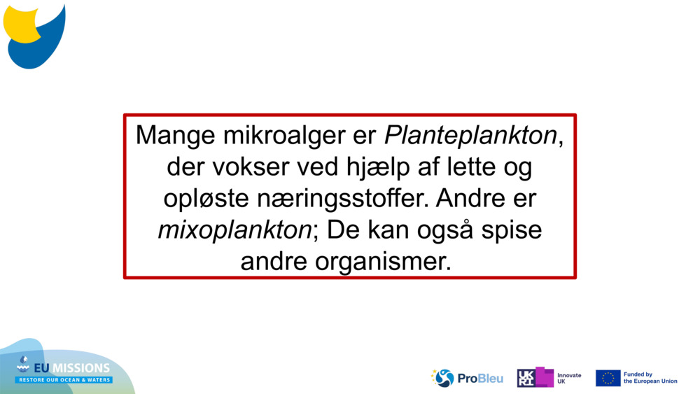 Mange mikroalger er 