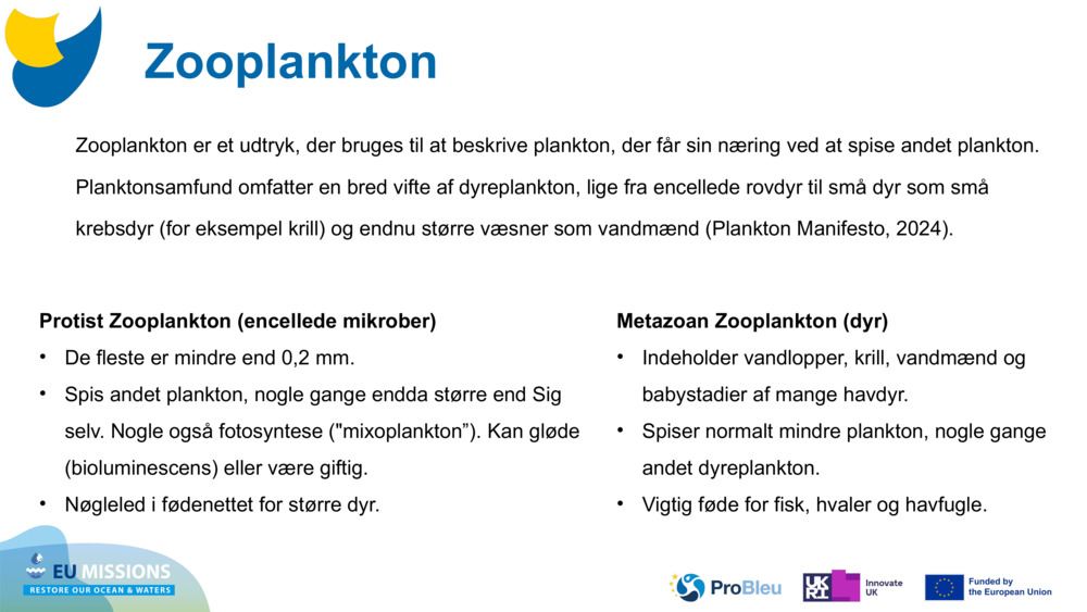 Zooplankton