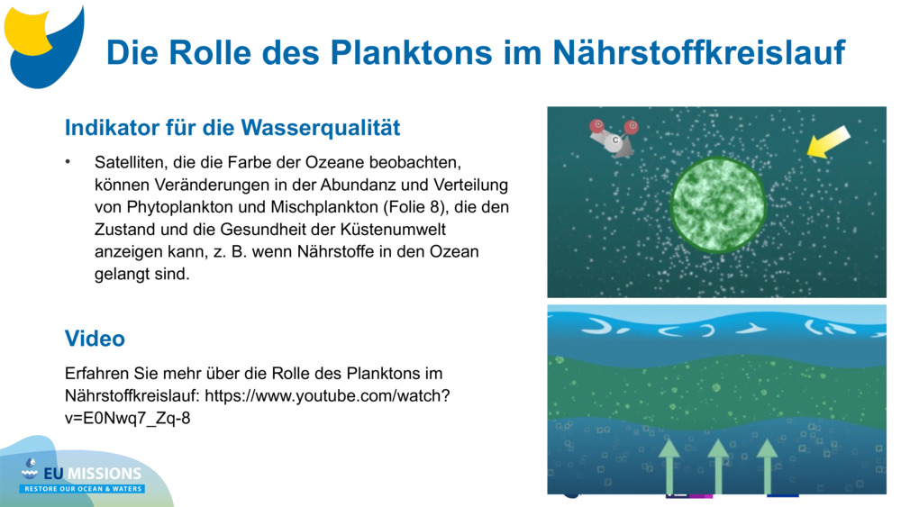 Indikator für die Wasserqualität
