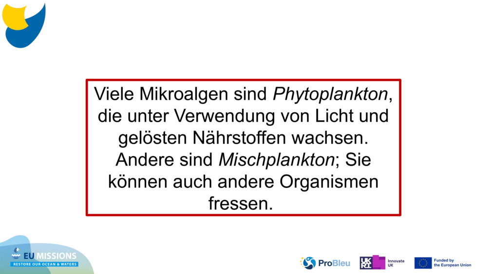 Viele Mikroalgen sind 