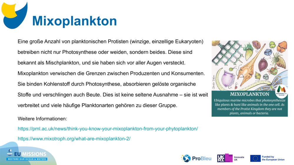 Mixoplankton