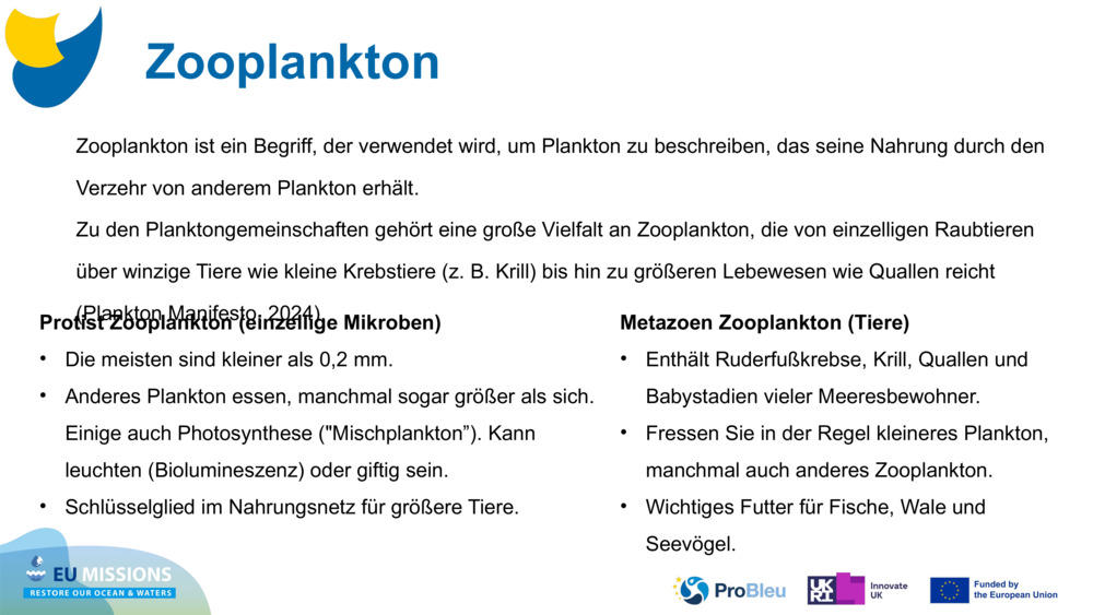 Zooplankton