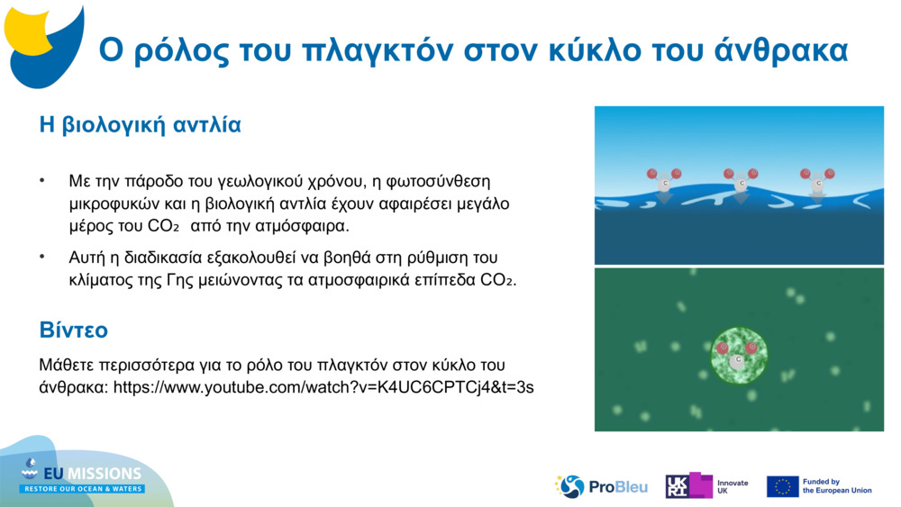 Η βιολογική αντλία