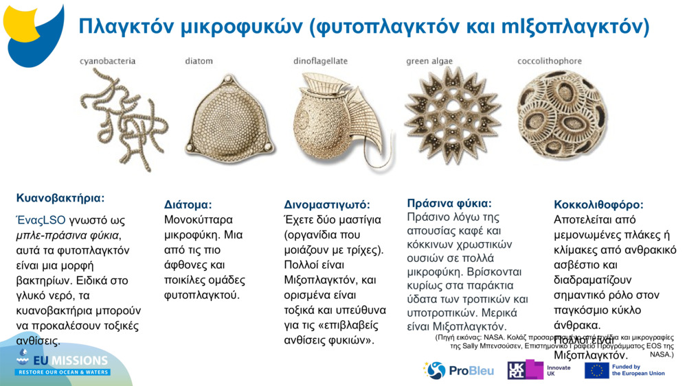 Κυανοβακτήρια: 