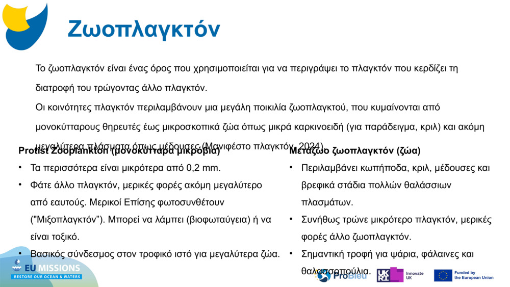 Ζωοπλαγκτόν
