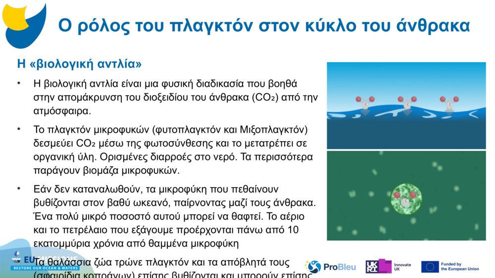 Η «βιολογική αντλία»