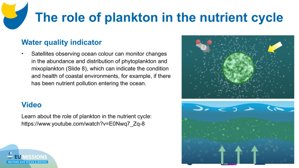 Water quality indicator