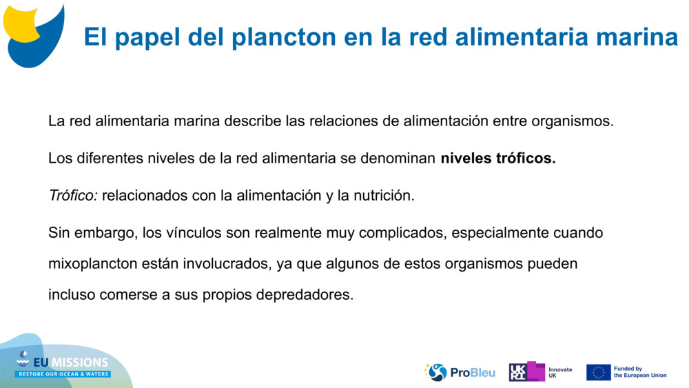 La red alimentaria marina describe las relaciones de alimentación entre organismos. 