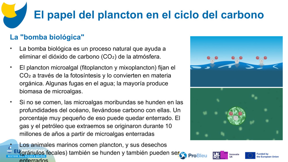 La "bomba biológica"