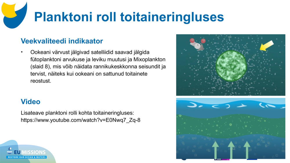 Veekvaliteedi indikaator