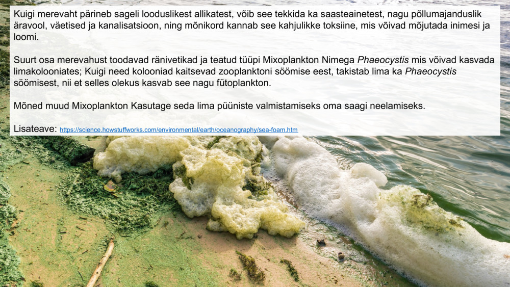 Kuigi merevaht pärineb sageli looduslikest allikatest, võib see tekkida ka saasteainetest, nagu põllumajanduslik äravool, väetised ja kanalisatsioon, ning mõnikord kannab see kahjulikke toksiine, mis võivad mõjutada inimesi ja loomi.
