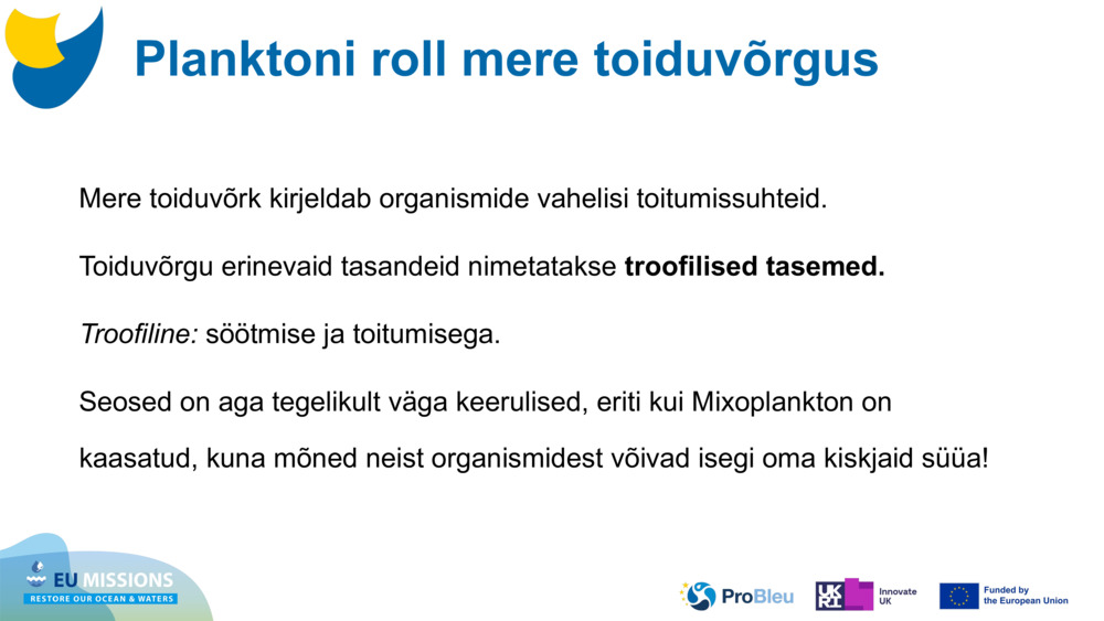 Mere toiduvõrk kirjeldab organismide vahelisi toitumissuhteid. 
