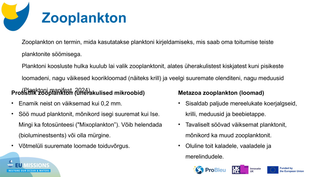 Zooplankton